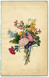 Elizabeth Pickersgill, Flower Posy with Daffodil – 1820 watercolour painting