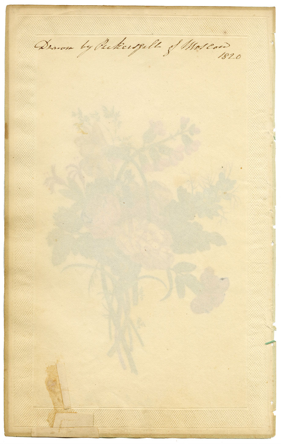 Elizabeth Pickersgill, Flower Posy with Daffodil – 1820 watercolour painting