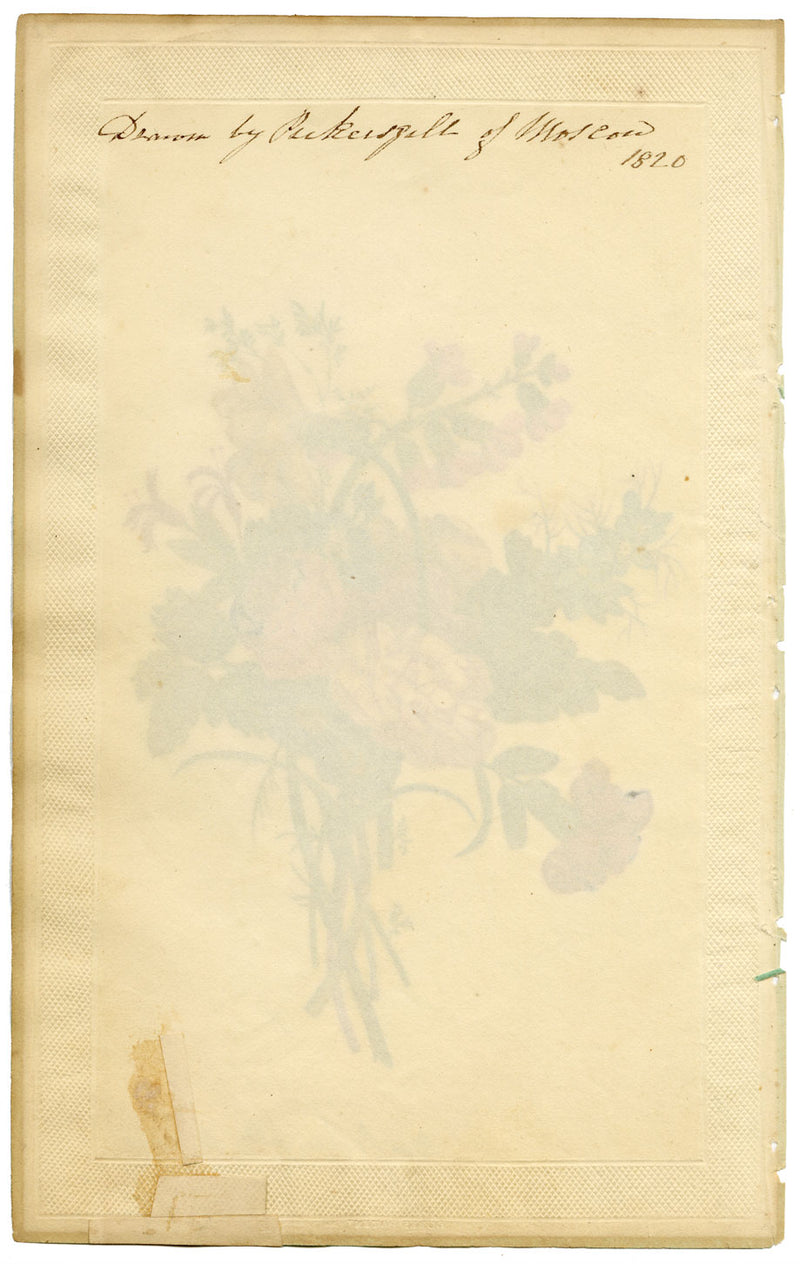 Elizabeth Pickersgill, Flower Posy with Daffodil – 1820 watercolour painting