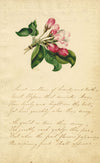 Arabella Prest, Apple Blossom & Poem – Original c.1820 watercolour painting