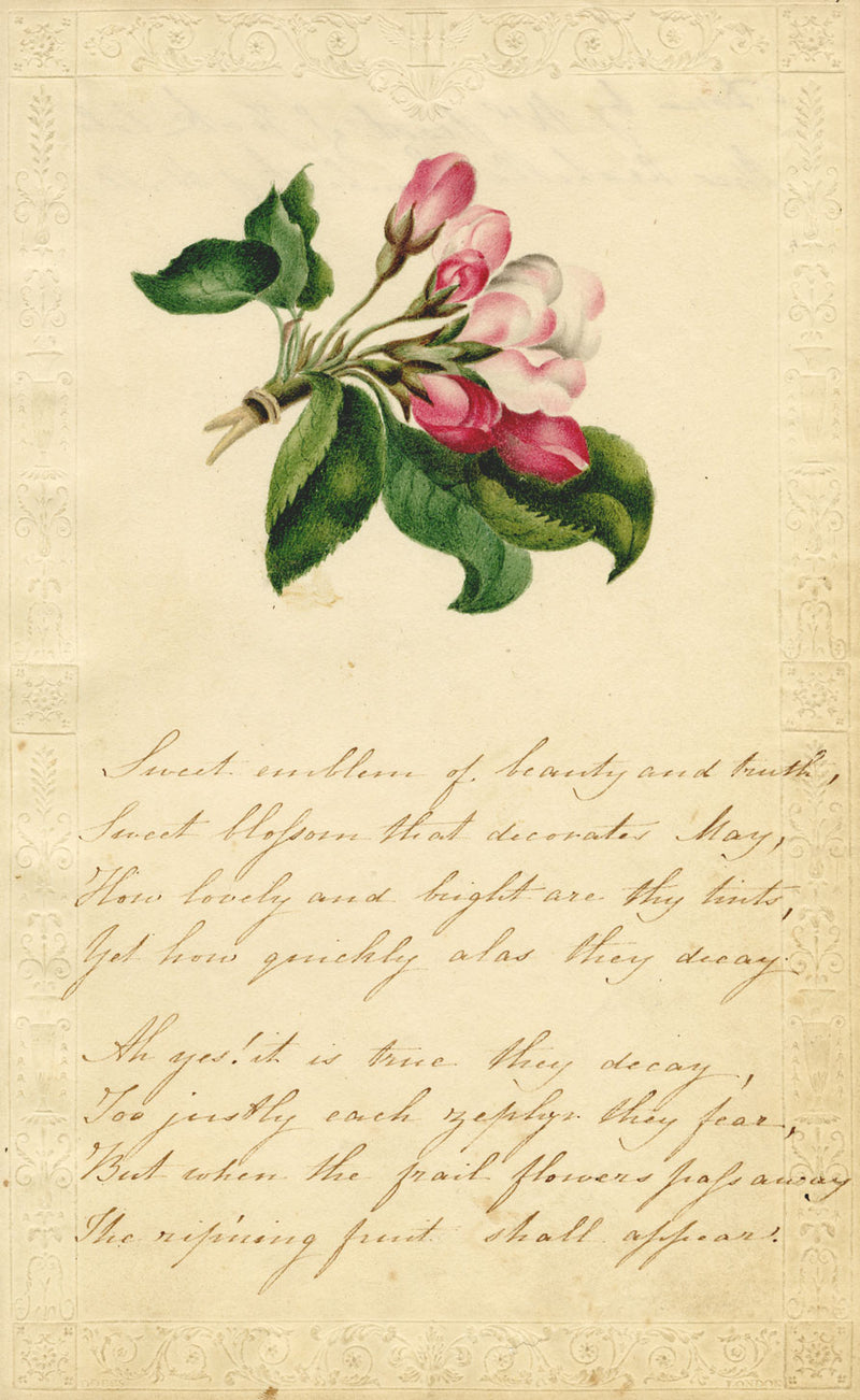 Arabella Prest, Apple Blossom & Poem – Original c.1820 watercolour painting