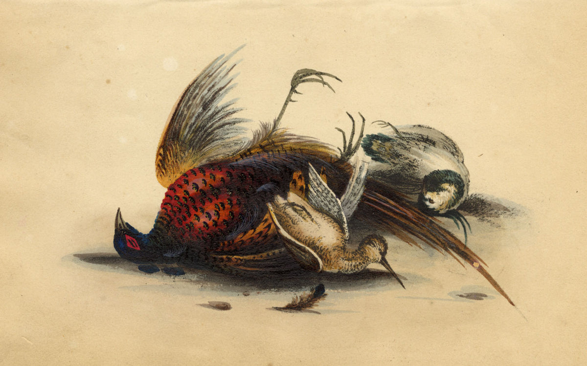 Dead Pheasant Game Birds – Original c.1820 hand-coloured lithograph print
