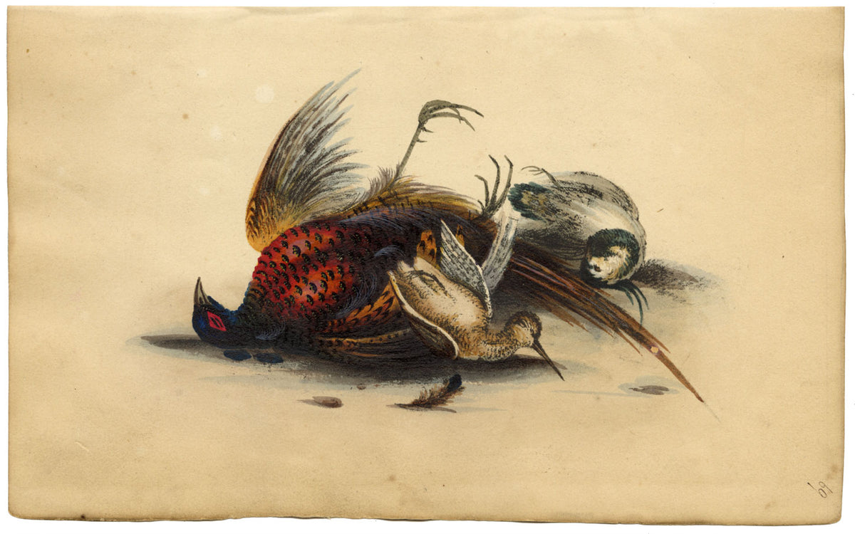 Uccelli da caccia con fagiano morto – Stampa litografica originale colorata a mano del 1820 circa