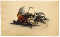 Faisanes muertos: litografía original coloreada a mano, c. 1820