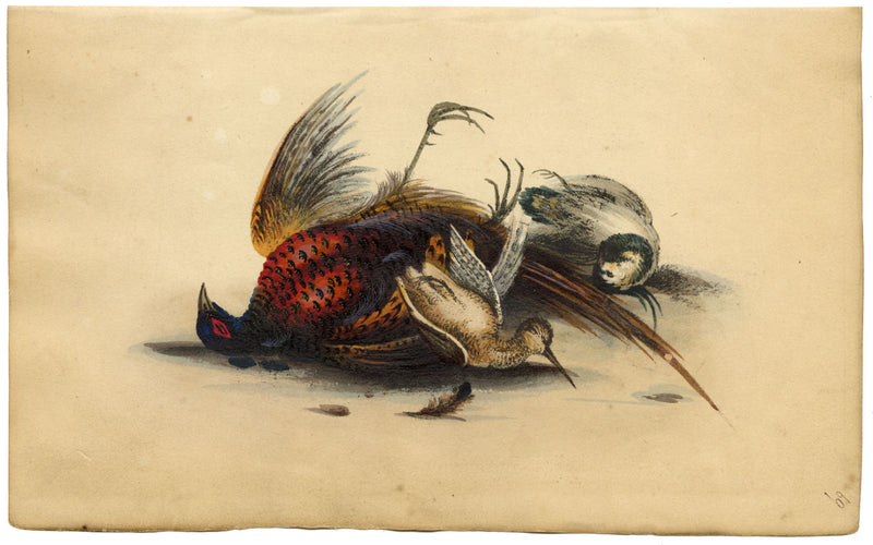 Faisanes muertos: litografía original coloreada a mano, c. 1820