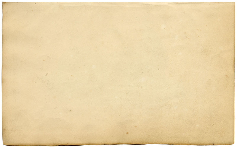 Faisanes muertos: litografía original coloreada a mano, c. 1820