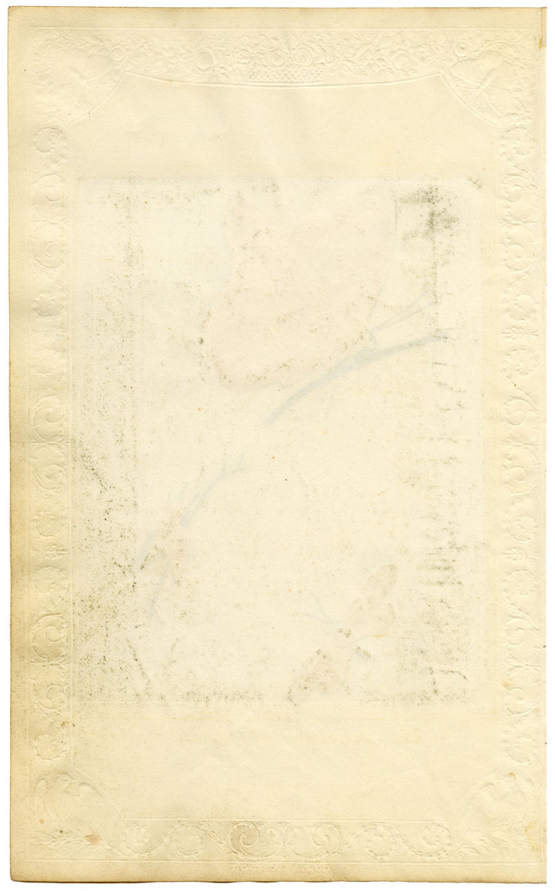 Studi entomologici su farfalle e insetti – Stampa litografica originale del 1820 circa