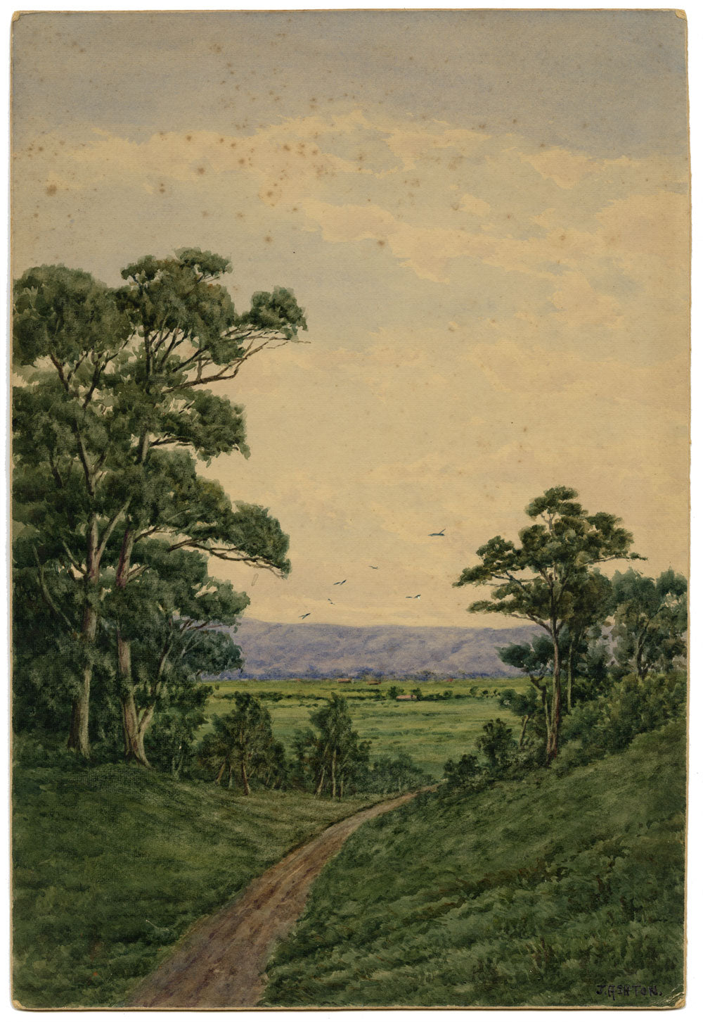 James Ashton, Australian Landscape, Adelaide Hills – late C19th watercolour