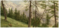 Anne G. Salter, Pinos, Alpes suizos – Acuarela original de c. 1889