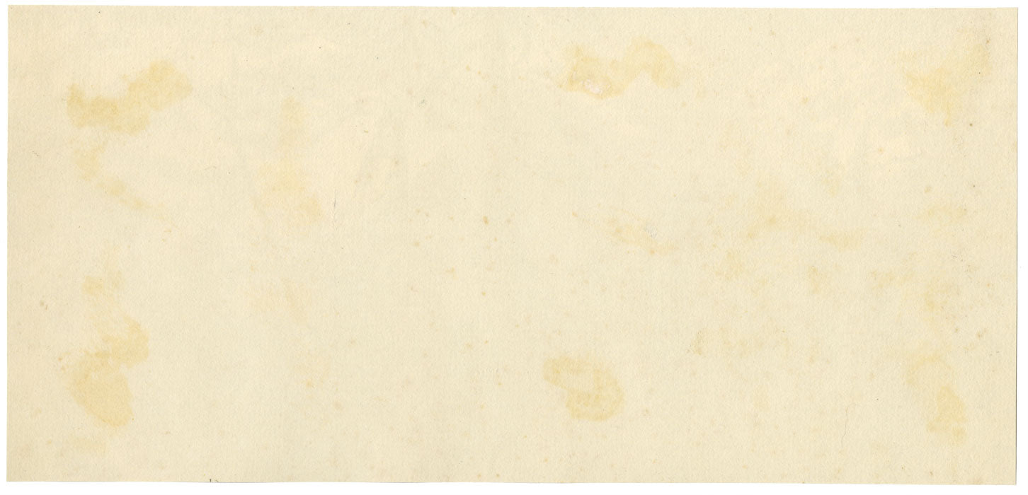 Anne G. Salter, Pinos, Alpes suizos – Acuarela original de c. 1889