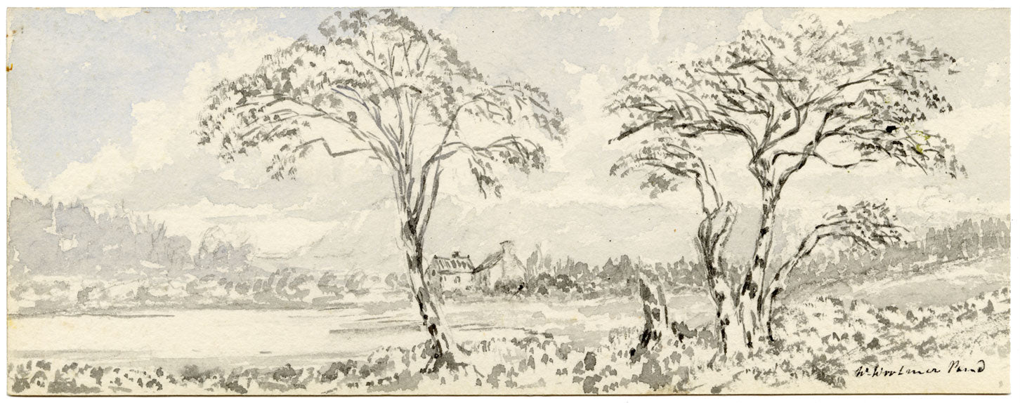 Emily Bruce, Lago Woolmer dal Lord Selborne's Park, Hampshire – acquerello del 1889