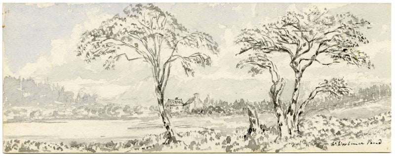 Emily Bruce, Lago Woolmer dal Lord Selborne's Park, Hampshire – acquerello del 1889