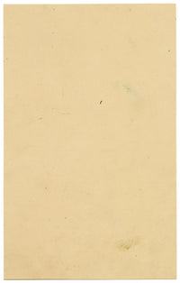 Verbena Coccinea Flower – Original mid-19th-century watercolour painting