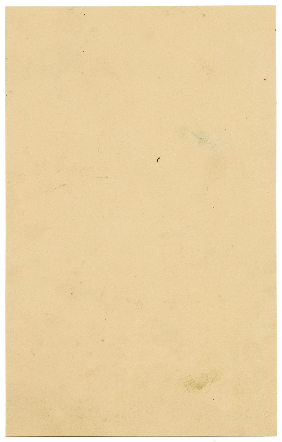 Verbena Coccinea Flower – Original mid-19th-century watercolour painting