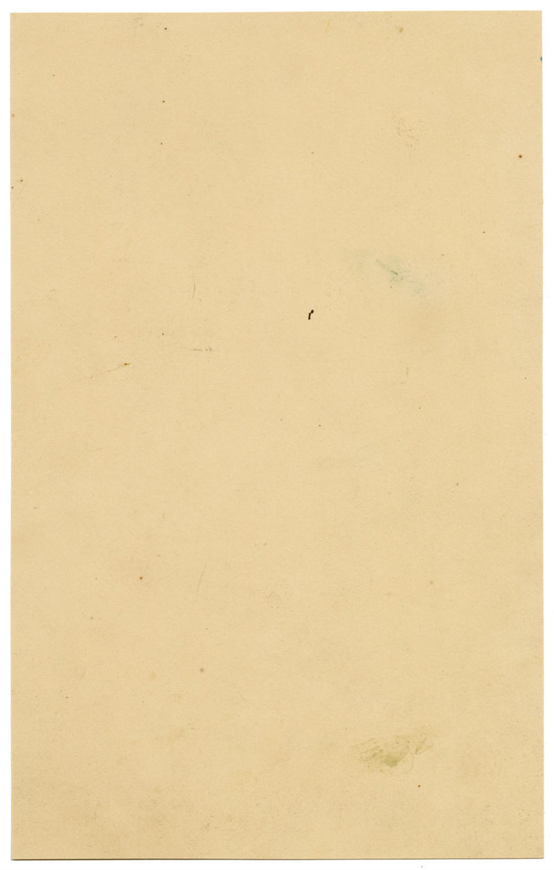 Verbena Coccinea Flower – Original mid-19th-century watercolour painting