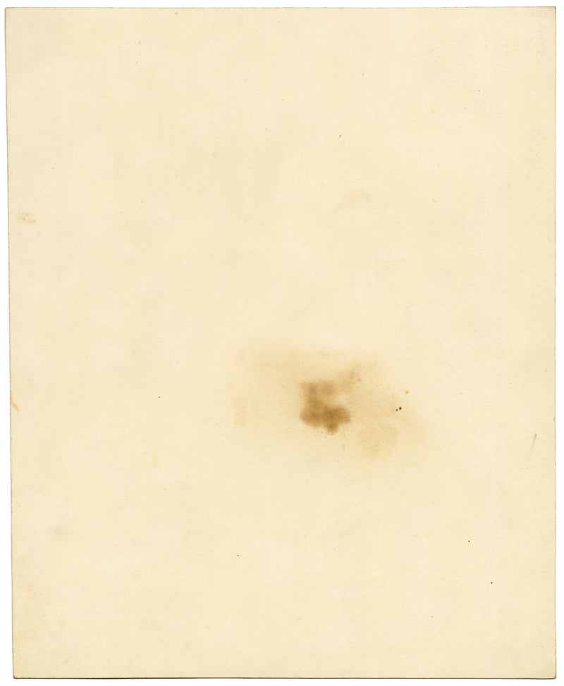 Fiore di canapa-ortica lanuginosa (Galeopsis segetum) – dipinto ad acquerello del 1835 circa