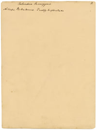 Atropa belladonna (flor de la belladona) – acuarela de c.1835