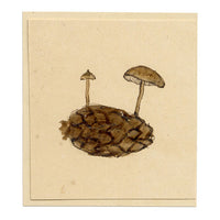 JRC, Pinecone Cap Fungus – Disegno micologico originale del XIX secolo