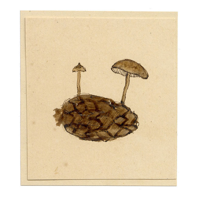 JRC, Pinecone Cap Fungus – Disegno micologico originale del XIX secolo