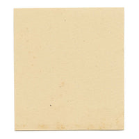 JRC, Pinecone Cap Fungus – Disegno micologico originale del XIX secolo