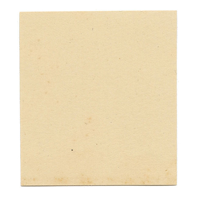 JRC, Pinecone Cap Fungus – Disegno micologico originale del XIX secolo