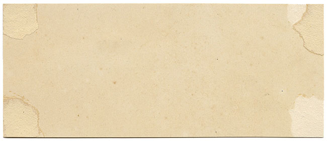 J.R.C., Scarlet Elf Cup Fungus – Original 19th-century mycology drawing