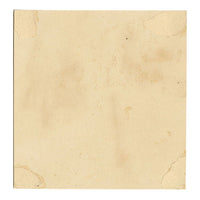 JRC, Candlesnuff Fungus – Disegno micologico originale del XIX secolo