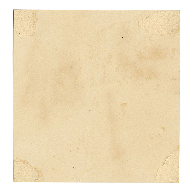 JRC, Candlesnuff Fungus – Disegno micologico originale del XIX secolo