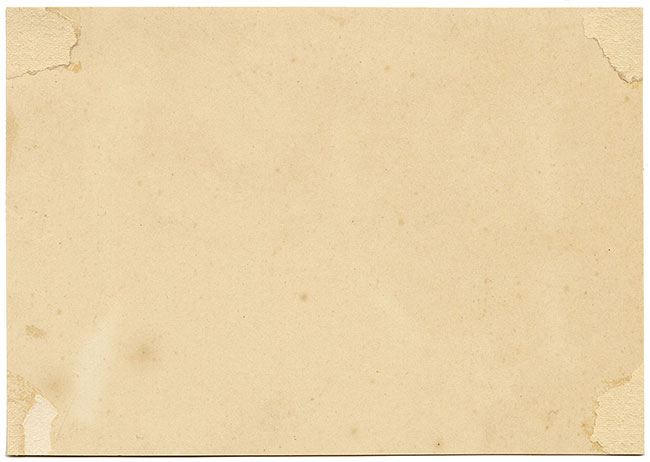 JRC, Hongo coral arrugado – Dibujo micológico original del siglo XIX