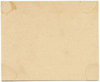 JRC, Hongo Abanico Amarillo – Dibujo micológico original del siglo XIX