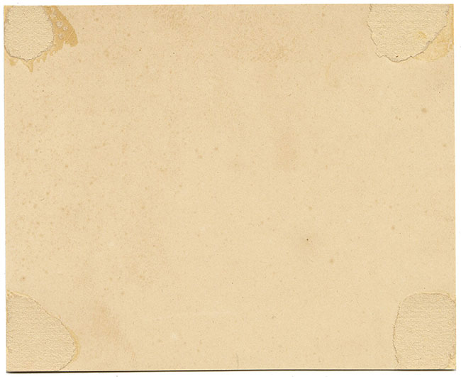 JRC, Hongo Abanico Amarillo – Dibujo micológico original del siglo XIX