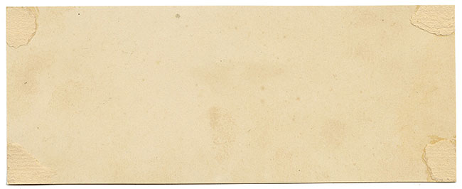 J.R.C., Grey Knight Fungus – Original 19th-century mycology drawing