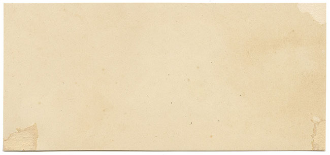 JRC, Fungo della tazza di letame comune – Disegno micologico originale del XIX secolo