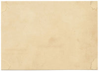 J.R.C., Pestle Puffball Fungus – Original 19th-century mycology drawing