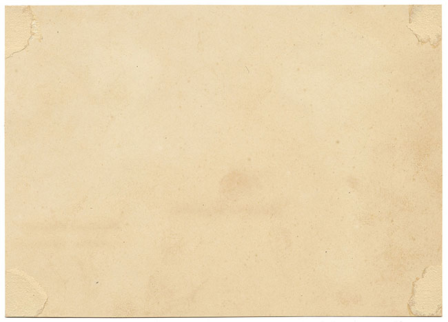 J.R.C., Pestle Puffball Fungus – Original 19th-century mycology drawing