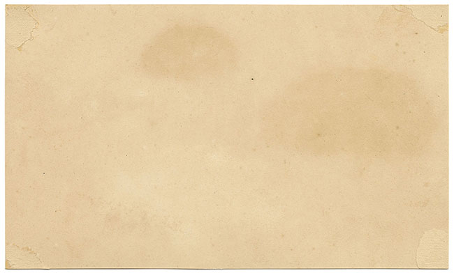 J.R.C., Blushing Bracket – Original 19th-century mycology drawing