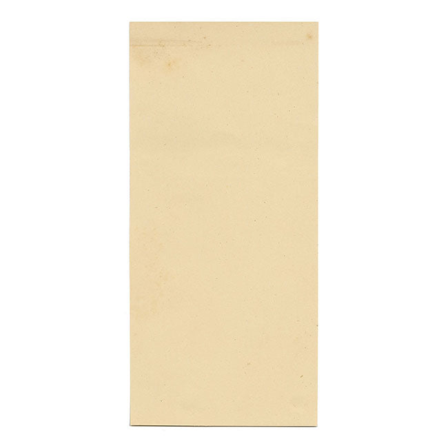 J.R.C., Fenugreek Milkcap Fungus – Original 19th-century mycology drawing