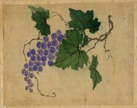 Japanese Grapevine – Meiji period late 19th-century painting on silk