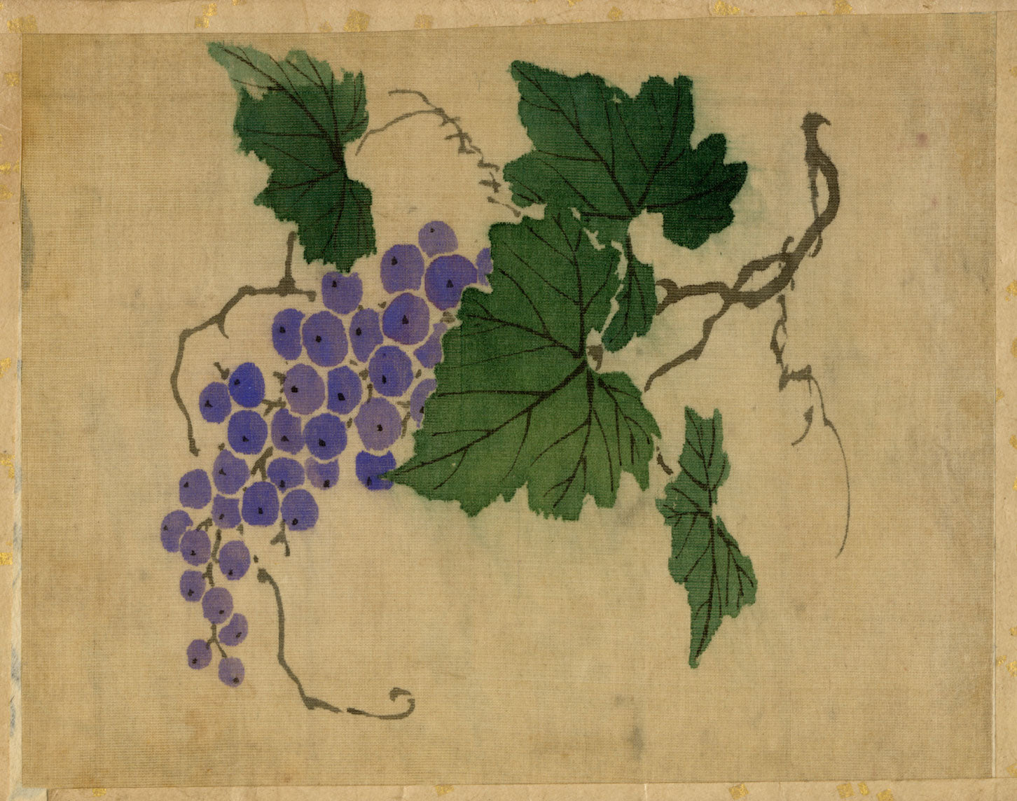 Japanese Grapevine – Meiji period late 19th-century painting on silk
