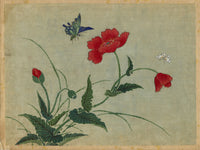 Japanese Poppy Flowers & Butterflies – Meiji period late C19th painting on silk