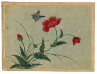 Japanese Poppy Flowers & Butterflies – Meiji period late C19th painting on silk