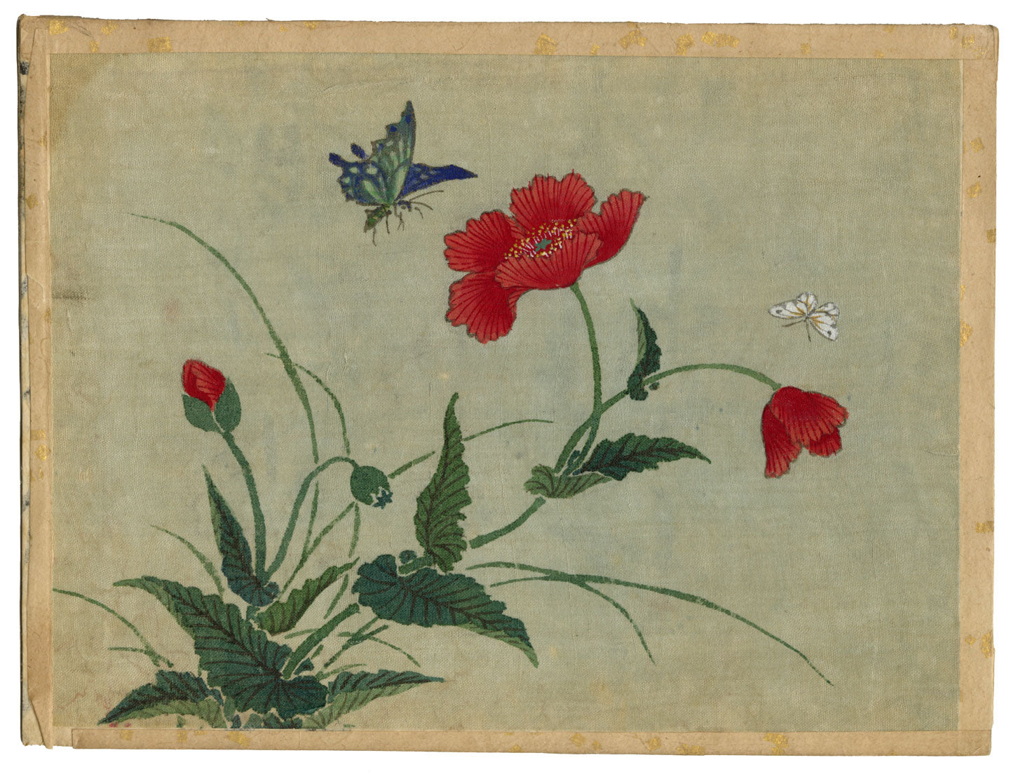 Japanese Poppy Flowers & Butterflies – Meiji period late C19th painting on silk