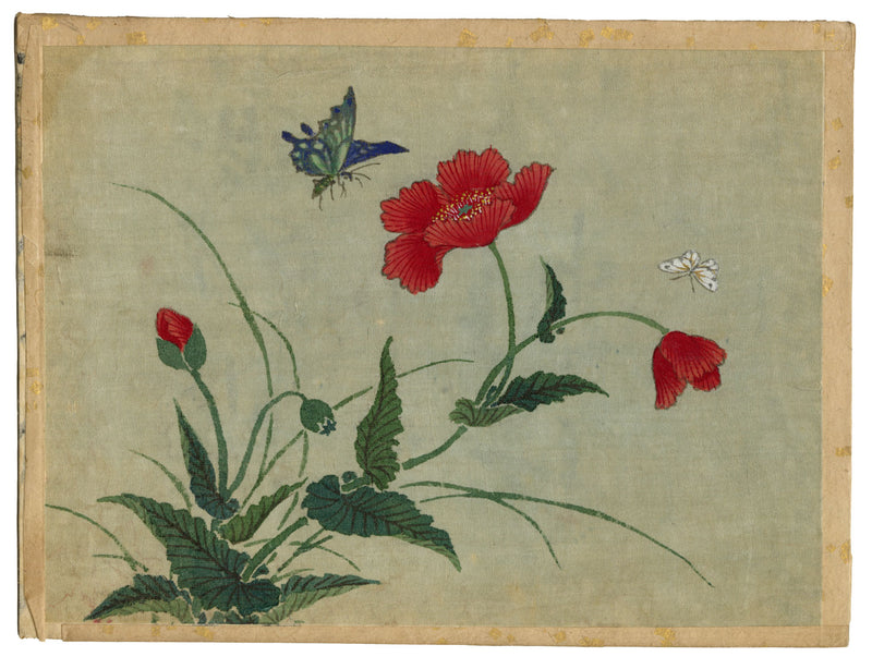 Japanese Poppy Flowers & Butterflies – Meiji period late C19th painting on silk