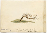 Rosa E. Neumann, HMS Rodney al largo di Ventnor, Isola di Wight – acquerello del 1894