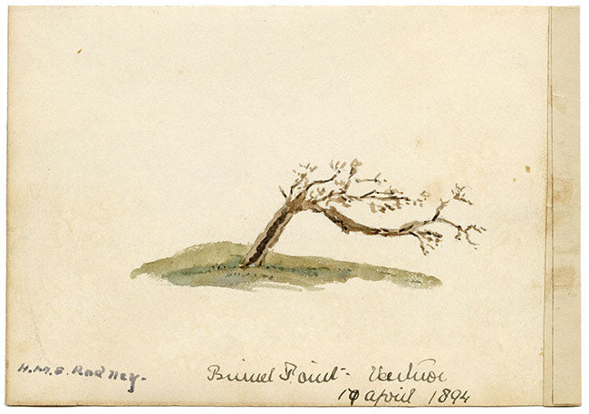 Rosa E. Neumann, HMS Rodney al largo di Ventnor, Isola di Wight – acquerello del 1894