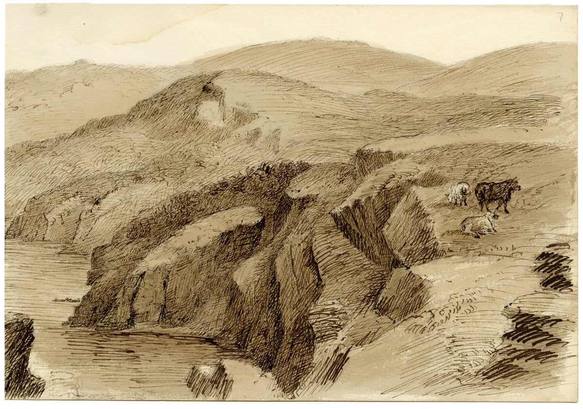 John Wilson, Scogliere costiere vicino a Oddicombe, Torquay, Devon – acquerello c.1875