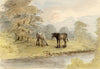 John Wilson, Horses Grazing by Riverbank, near Torquay, Devon –c1875 watercolour