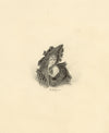 William Warman, Young Lady in an Oversized Bonnet – c.1831 graphite drawing