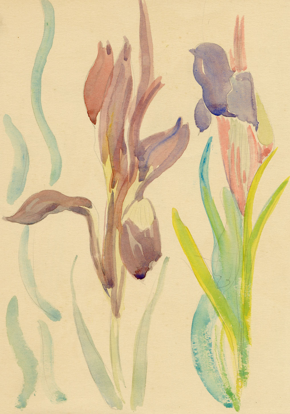 Jean Mary Ogilvie, Art Deco Iris Flower Design – Original 1930s gouache painting