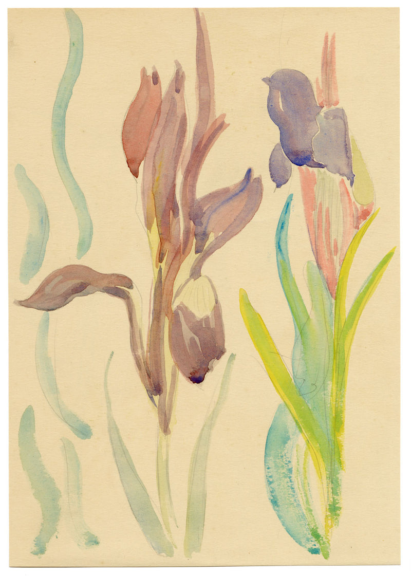 Jean Mary Ogilvie, Art Deco Iris Flower Design – Original 1930s gouache painting